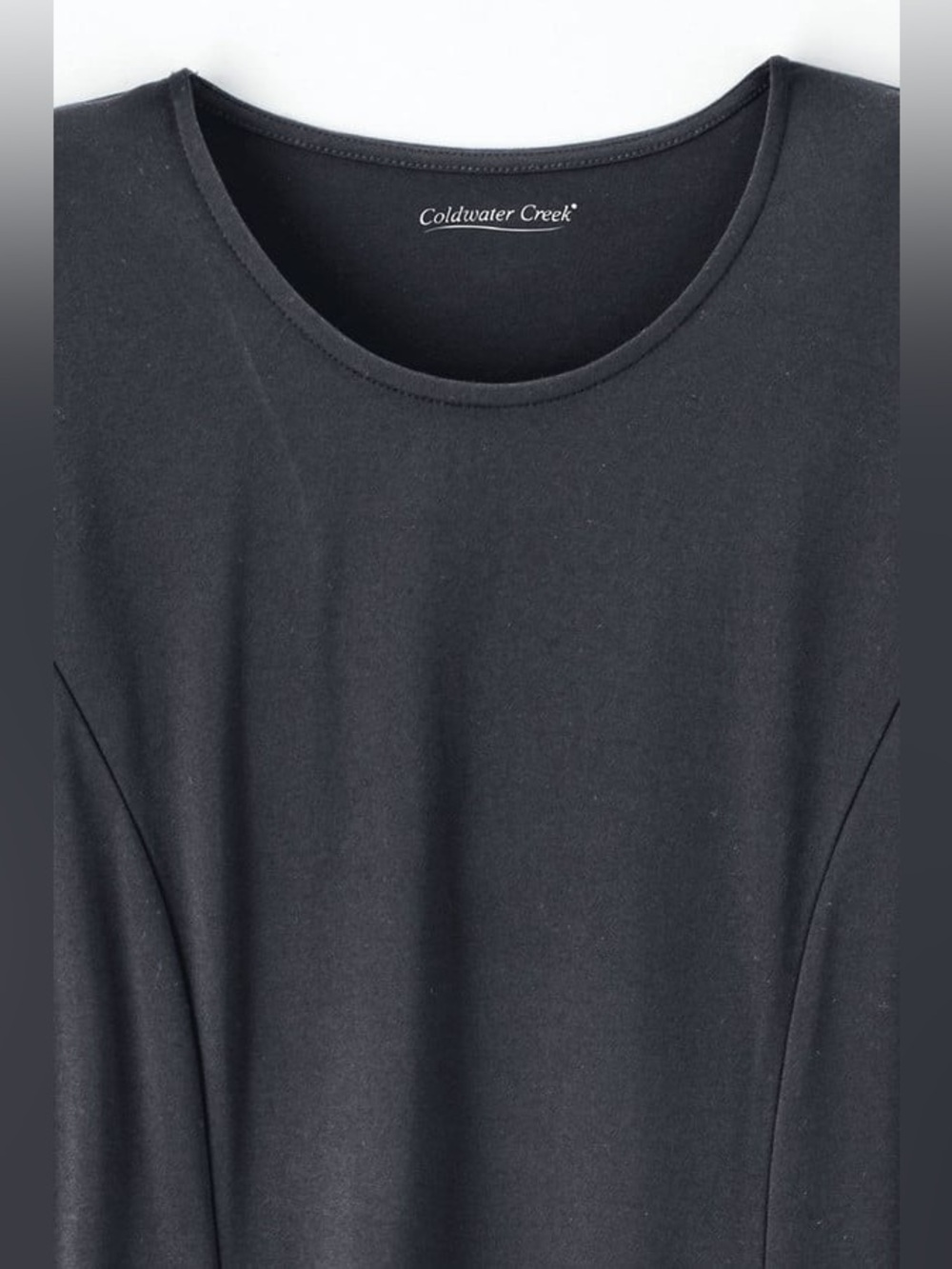 Coldwater Creek Destinations Seamed Black Dress Size X-Large - Picture 3 of 9